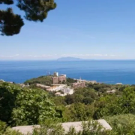 L'alivella - Le Cabanon Bastia (Corsica)